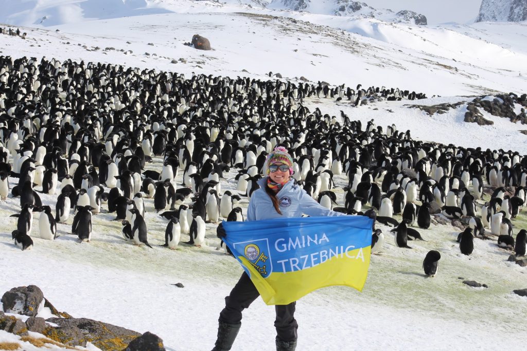 W krainie pingwinów, Wyspa Króla Jerzego, październik 2020, fot. S. Kucięba